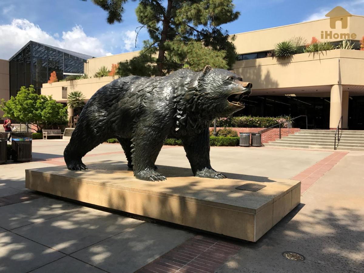 "Resort Style Amenities Walk To Ucla" W Pool & Parking B2 Los Angeles Ngoại thất bức ảnh